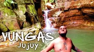 Hidden Jungle: adventure in the YUNGAS, Jujuy