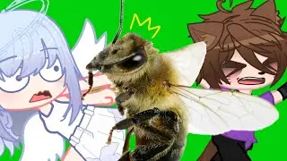 Роза, ты помогаешь мне дрессировать пчелу!🐝