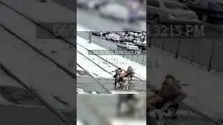 Школьник спас бабушку