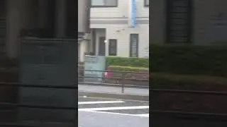 Rare Hail Strom in Tokyo