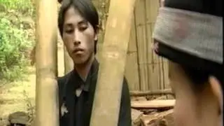 Nuj Toog Thiab Paj Tawg Muam Nkauj See 2.3