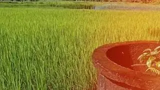 Malnadu