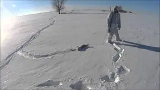 охота на зайца 16.01.2016г