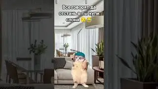 хехе 😏🤣 