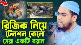 কাক এর বাচ্চার রিযিক সম্পর্কে আশ্চর্কর তথ্য,হাফিজুর রহমান সিদ্দীকি কুয়াকাটা,Hafizur rahman siddiki