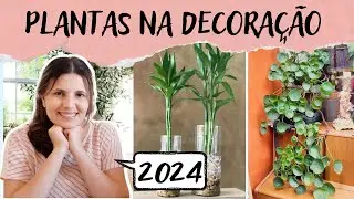 AS MAIS LINDAS PLANTAS NA DECORAÇÃO  EM 2024