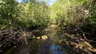 DJI Avata exploring Skjervet - Norway