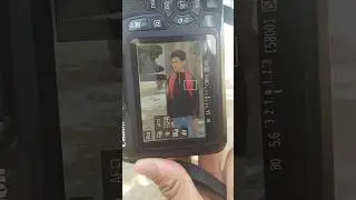 D 5200 camera tree side photo shooting outdoor #shorts #youtubeshorts #shortvideo #ytshorts