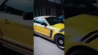 🔥Опасный➖мустанг🔥 