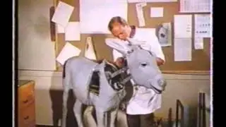 Walt Disney Presents - TDC Promo.wmv