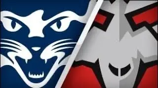 Essendon Highlights vs Geelong 2021