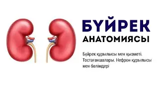 ADALMYN MENDE - DBEKSH  текст песни / караоке музыка