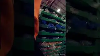 Getting that truck loaded.