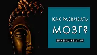 Беседы о развитии. Как развивать мозг?
