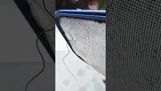 Черви в бассейне