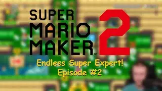 Trolls and Puzzles! - Mario Maker 2 - Endless Super Expert #2