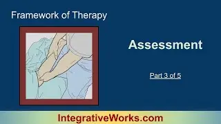 Framework of Therapy 3 Assessment