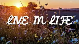 The Rubens - Live In Life (Lyrics)