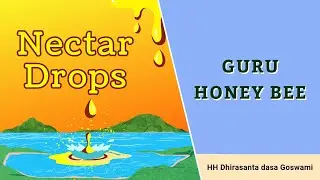 Guru honey bee | Гуру медоносная пчела
