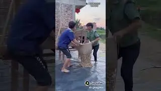 Fails Collection 😂😊😂😂😊😂 #lol #awesome #collection #funny #finnyvideo