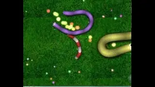 Slither.io custom background