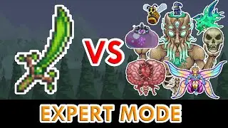 Terraria 1.4 - Seedler vs ALL Bosses (Expert Mode)