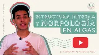 Estructura Celular y Morfología de ALGAS - INTRODUCCIÓN AL MUNDO DE LAS  ALGAS;  MÓDULO 01: AULA 02