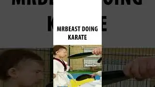 MrBeast Karate