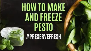 Preserving Fresh Basil | Making And Freezing Pesto @YogiHollowFarm  #Preservefresh
