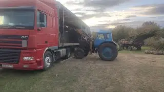 Заправил кондиционер❄💨, устраняю утечки воздуха. Рейс на Тамбов. Везу деревья 🌲🌳🌴