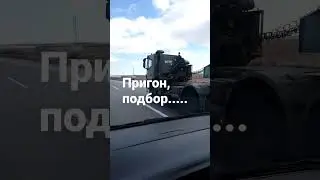Leopard, пригон , подбор, помощь в растаможке...