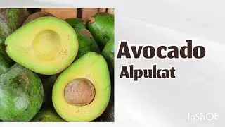 BAHASA TURKI PEMULA || Nama Buah Buahan 