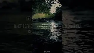 Коран #коран #quran #quraan #islam #islamic #shorts #short