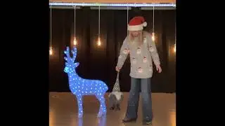 15 Dezember