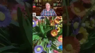 Очень много лжи.Влад Бахов.