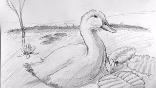 Duck English - Paolo Morrone