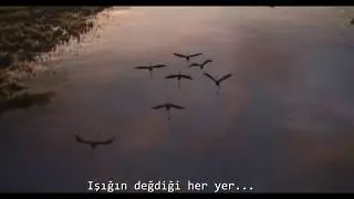 Aslan Kral 2018 - Türkçe altyazılı fragman