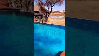 🦒Faszination Namibia🦓 - für jeden Urlaubs Geschmack ist was mit dabei!