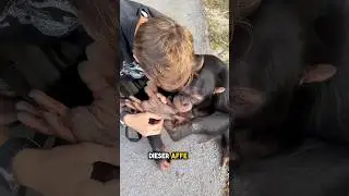 This monkey felt something in his leg ♥️