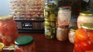 Болталка. Куда пропала, чем занимаюсь.