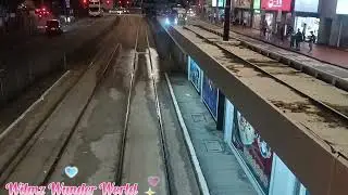 Tram ride @Night Quarry Bay to Causeway bay #ellajoy #siblingsgoals #onvacation
