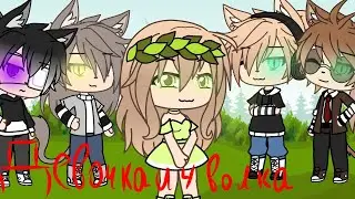 ( Гача лайф) Интро для сериала Девочка и 4 волка♥️