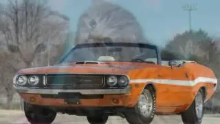 А я сяду в кабриолет!   КОТЫ   РУЛЯТ!!!