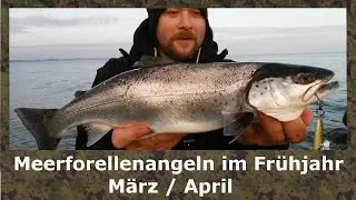 Meerforellenangeln,angeln auf Meerforelle im Frühjahr März-April