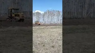 ДТ-75 боронит поле в жару