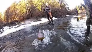 ALASKAN  STEELHEAD
