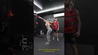 Barbell Back Squat