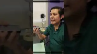 Todo salió mal cuando regale un tratamiento de #rehabilitacion para las #adicciones 😕