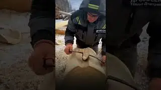 РАБОТА С ДЕРЕВОМ (чистый звук)