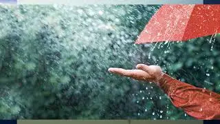 Ulta Palta | Sunil Gangopadhyay | Presented by Sourav Halder | Bengali Funny Kabita